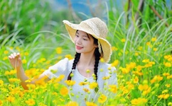 37大但人文艺术A级都市天气